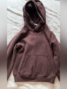 Aritzia Cozy Sweatfleece Perfect Hoodie in Rich Mocha Brown